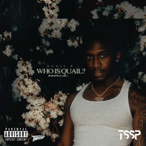 Quail P - What You Got (Trill Sain Remix)