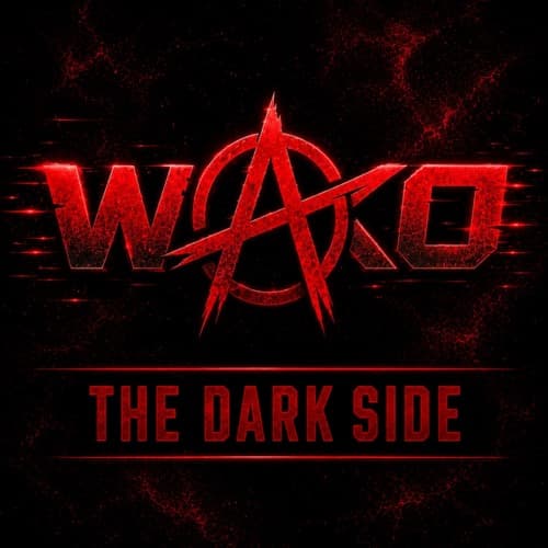 THE DARK SIDE