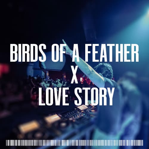 Birds Of A Feather x Love Story (TKC Mashup)