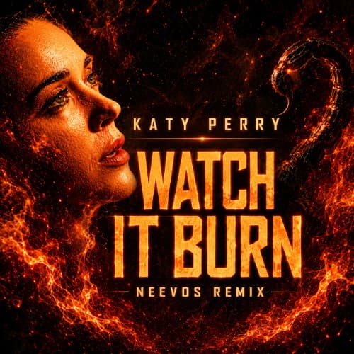Watch it burn (NEEVOS REMIX)