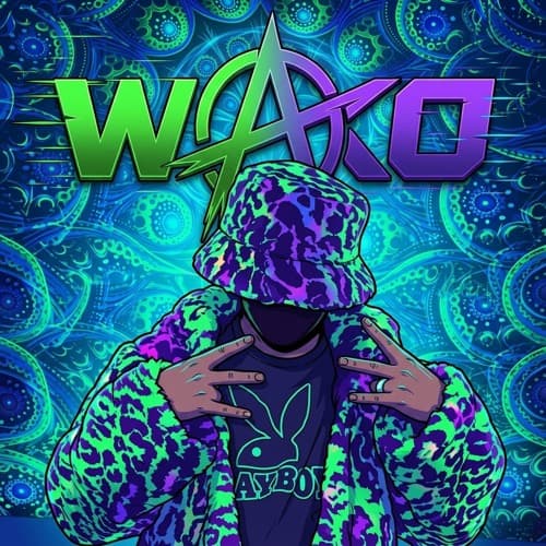Basshunter - we are the waccos (WAKO hard techno FLIP) Free DL