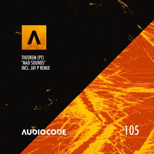 Premiere: Theorem (PT) - Back (Original Mix) [Audiocode Records]